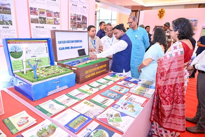 ବିଶ୍ୱ ଜଳ ଦିବସରେ ୨୬୧୨ କୋଟିର ୧୪୧ ପ୍ରକଳ୍ପ ଶୁଭାରମ୍ଭ: ଜଳ ସୁରକ୍ଷା ପାଇଁ ସମୁହିକ ପ୍ରୟାସର ଆହ୍ୱାନ