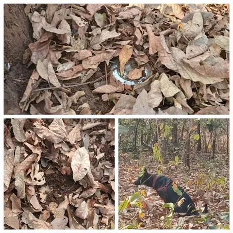 ମାଓବାଦୀ ଯୋଜନା ବିଫଳ: ୩ଟି ଲ୍ୟାଣ୍ଡମାଇନ ଉଦ୍ଧାର କରି ନିଷ୍କ୍ରିୟ କଲେ ଯବାନ