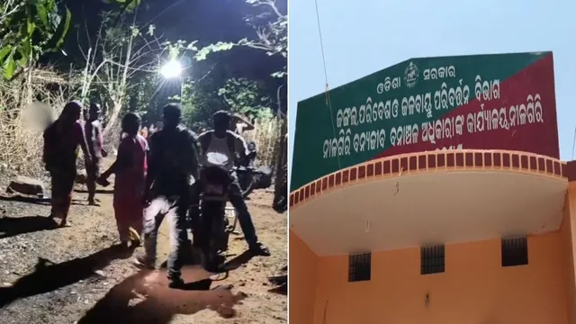 ନୀଳଗିରିରେ ଗୋରଖଧନ୍ଦା ରେଡ୍‌ ବେଳେ ହଙ୍ଗାମା: ମହିଳା ବନ ସୁରକ୍ଷା କର୍ମୀଙ୍କୁ ଦୁର୍ବ୍ୟବହାର