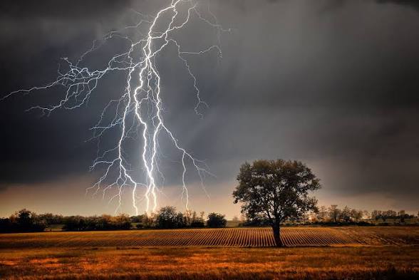 Lightning Strikes: ରାଜ୍ୟରେ ବଜ୍ରାଘାତର ତାଣ୍ଡବ, ୫ ମୃତ; ୧୦ ଜଣ ଗୁରୁତର ଆହତ